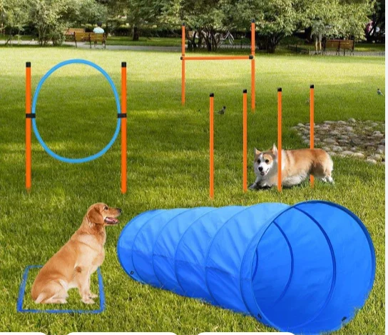 Dog  Practice Equipment Hoop Jump  Agility Dog Tire