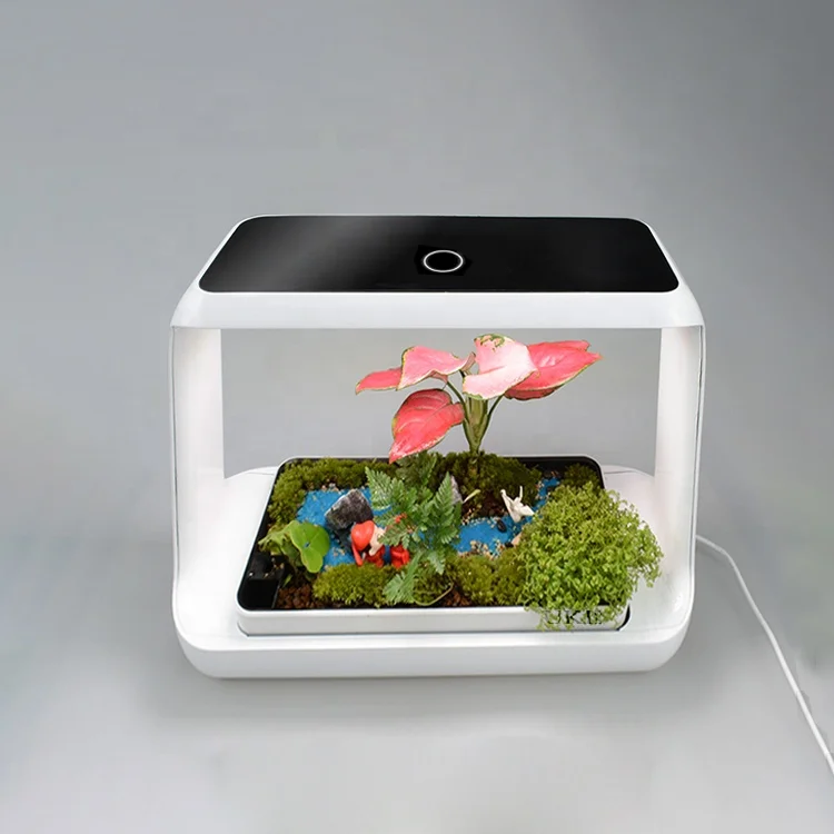 Smart Box Plant Vegetable Planter Pot Garden Home Hydroponic System for Children Education