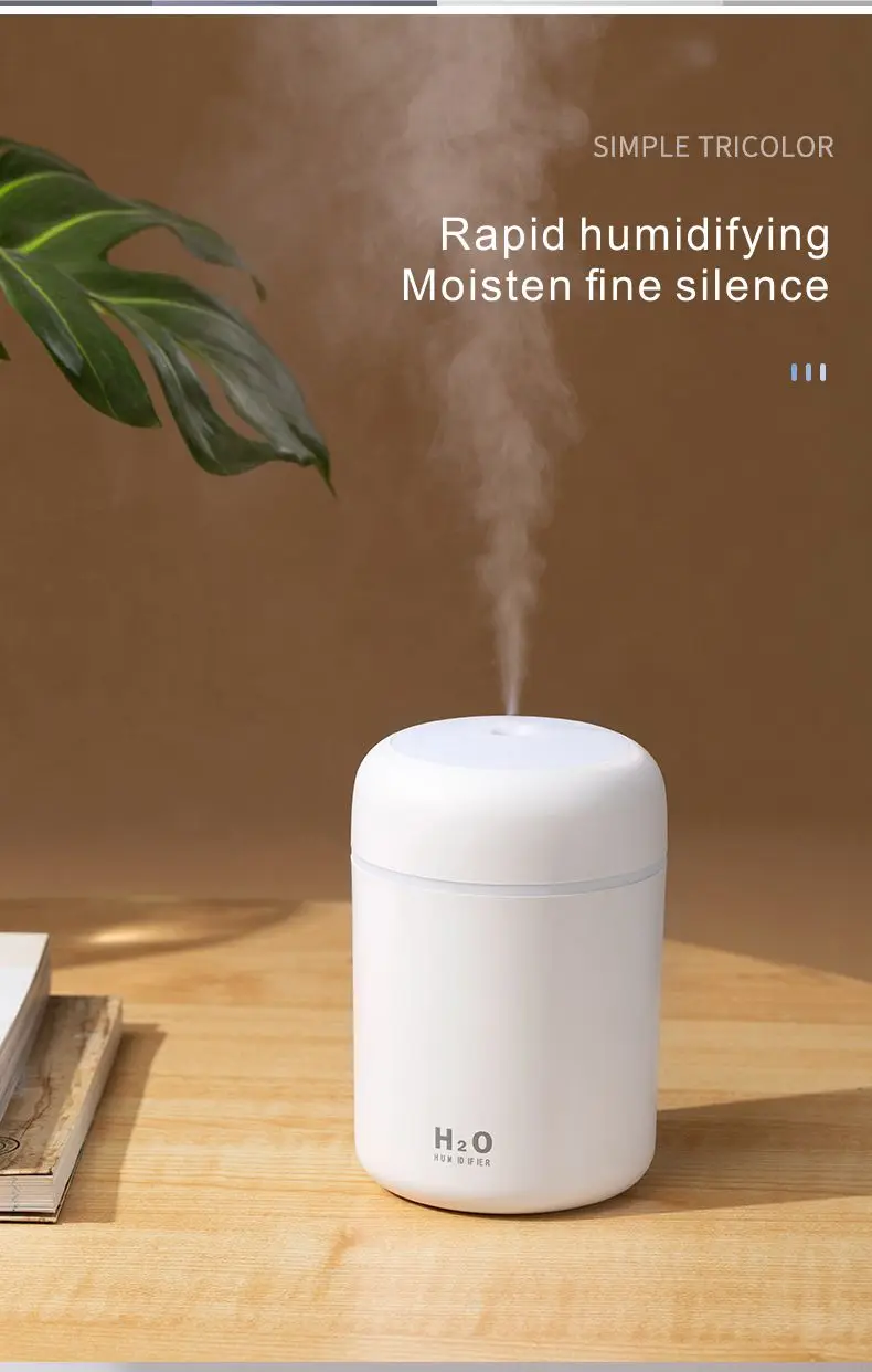 2022 New Product Room Humidifiers USB Rechargeable Air Purifier Humidifier Mute Personal Humidifier
