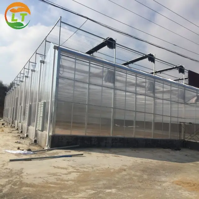 European quality economical polycarbonate greenhouse with panels for