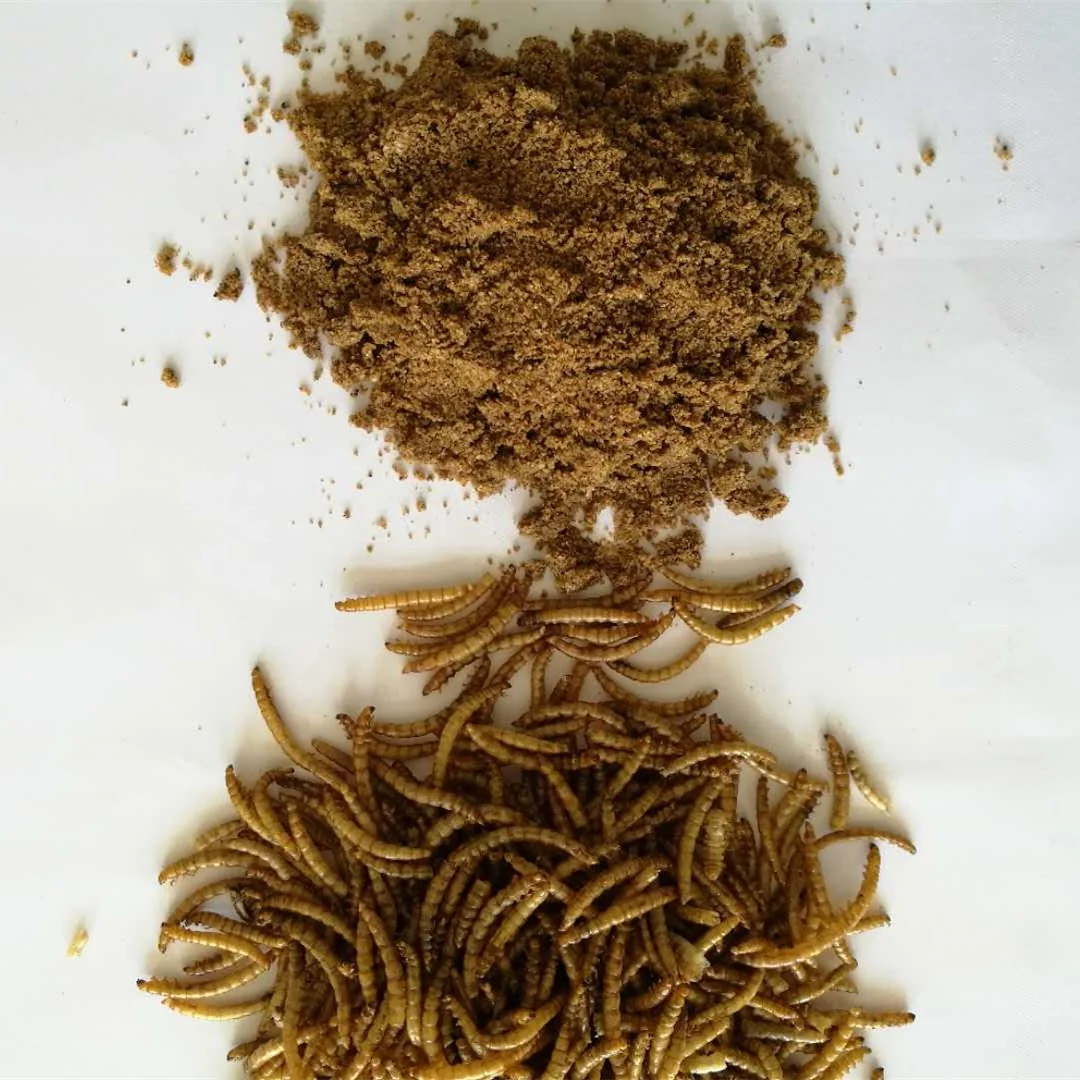  Высокий уровень белка корма для животных сушеный порошок mealworm мука