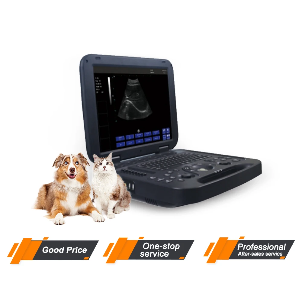 Electric Medical Ultrasound Instruments portable wifi ultrasound probe veterinary medical ultrasound machine