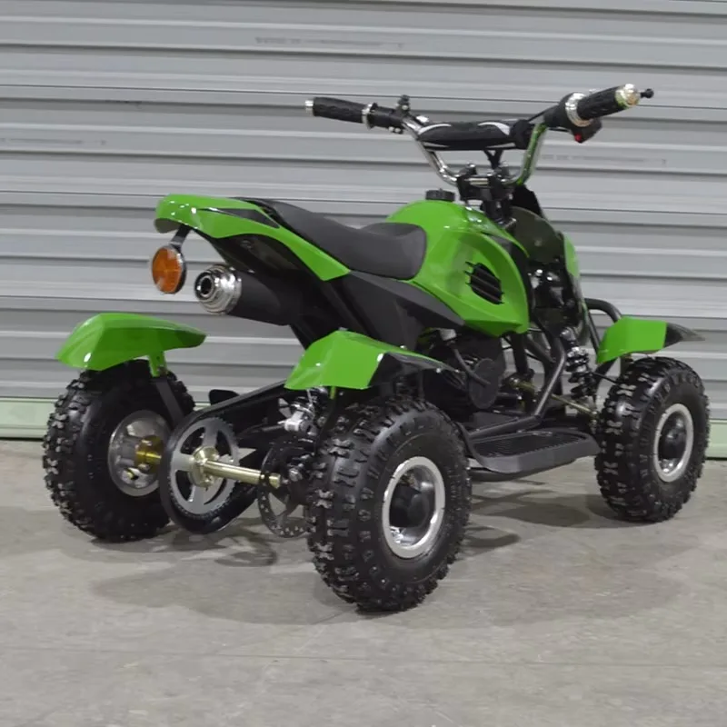 Hot Sale Kids Mini Ski-Doo Snowmobile Touring Style Chinese Gasoline Off-Road Vehicle with 4 Stroke Engine 125cc Capacity