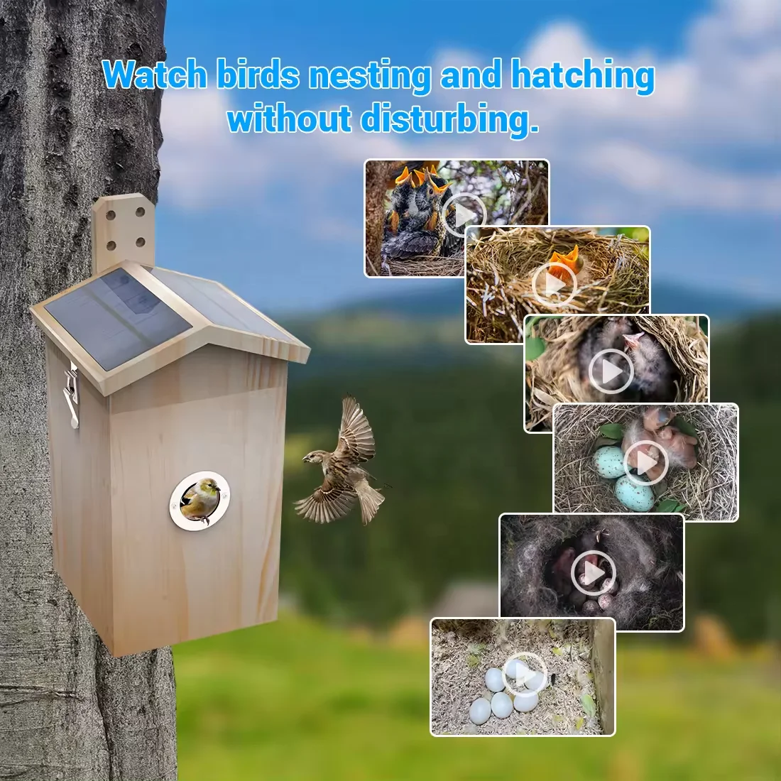 Wood Bird Nest Smart AI bird camera  with solar panel waterproof garden bird house gift for family