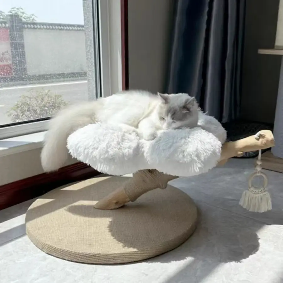 Luxury Wood White Large Cat Condo Tree With Flower Sleeping Bed Sisal Posts Perches Real Wood Branch