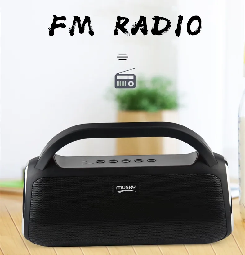 
MUSKY DY18 Super Bass Portable Mini Karaoke Waterproof Subwoofer Wireless TWS Blue tooth Computer Speaker with Microphone 