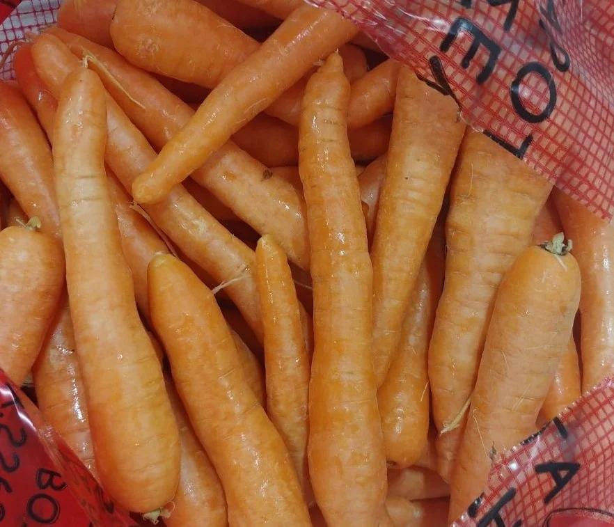 
High Quality New Crop Fresh Washed Carrots Bulk Vegetables 
