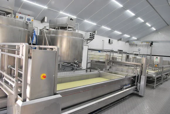 Factory Wholesale Cheese Making Machines tools Cheddar Mozzarella Cottage Production Line dairy plant