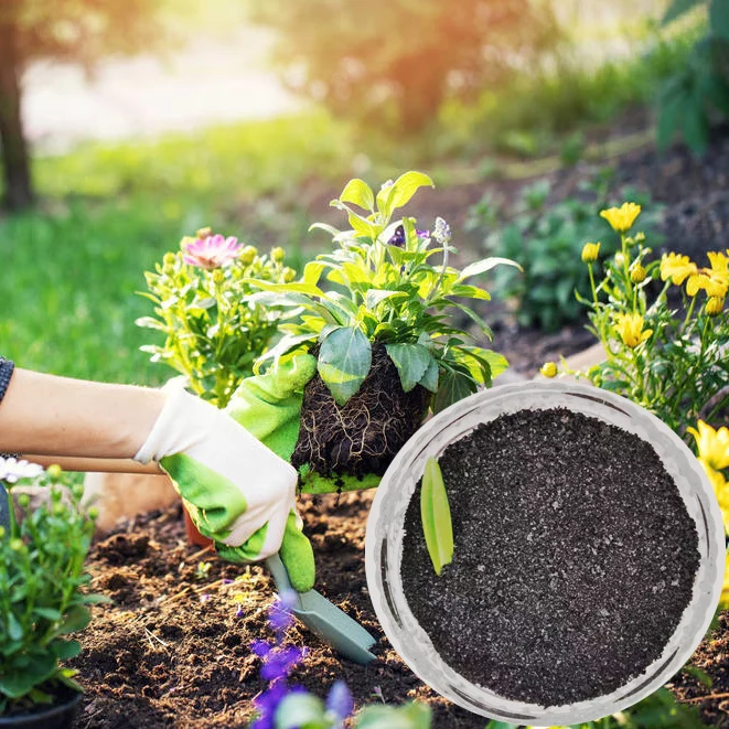 Potassium humate shiny flakes High Potassium organic fertilizer be used for agriculture fertilizer