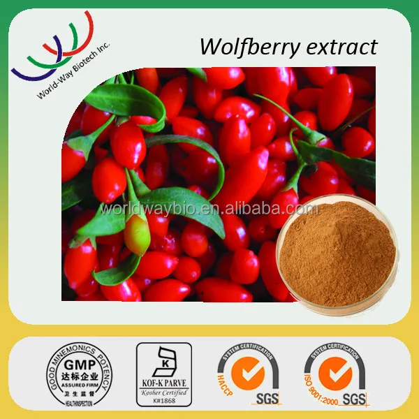 Wholesale Organic Goji Berry Extract Powder Red Wolfberry Supplement Fruit Extract Food Grade GMP Certified Packaged in Bag Drum