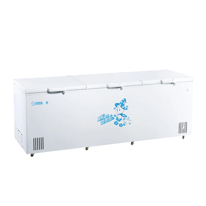 BD-1688 Snowsea custom Top Open Foaming 2 Doors deep freezer freezers chest Low Energy Consumption deep chest gas freezer