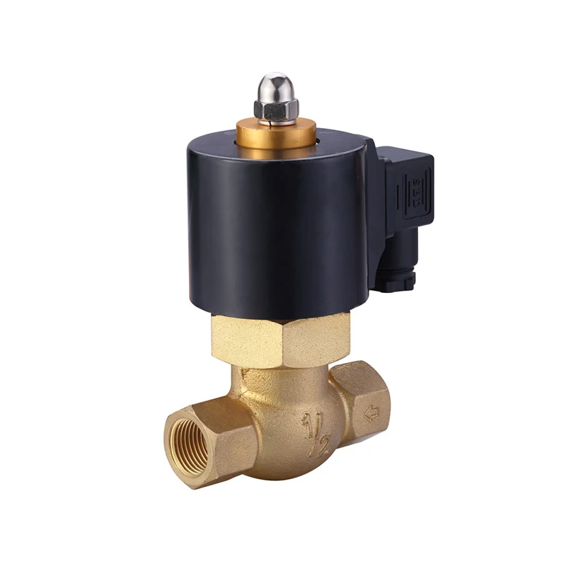 2L170 20 2/2 Way 220V Steam Air Water Solenoid Valve High Temperture Electric Steam Brass Solenoid Valve