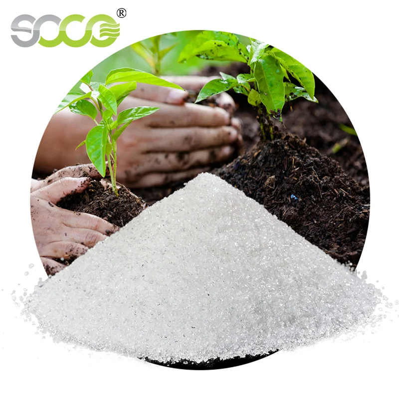  Известный бренд SOCO SAP популярный среди международных