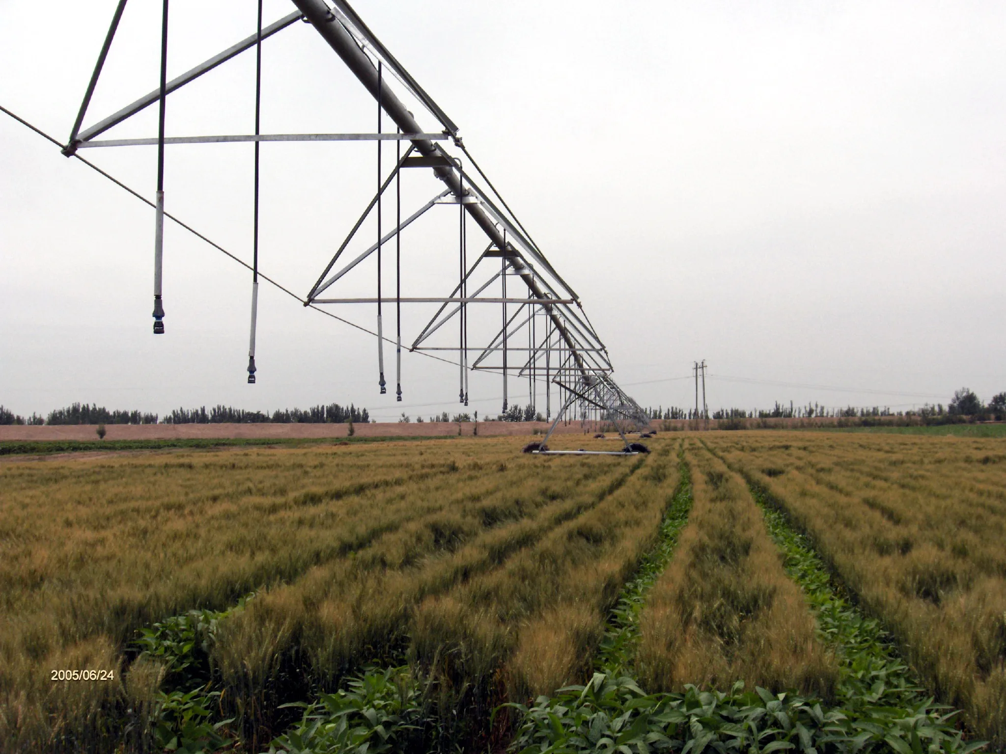 2023 New tppe agricultural solar center  pivot irrigation system machine for sale