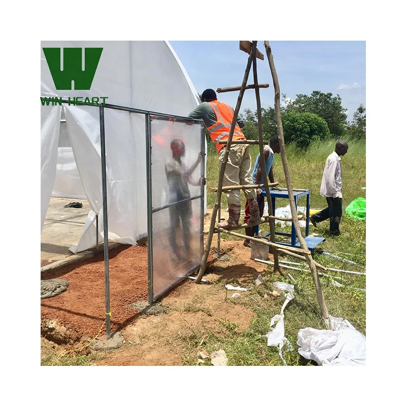 .popular factory supply agricultural Greenhouse