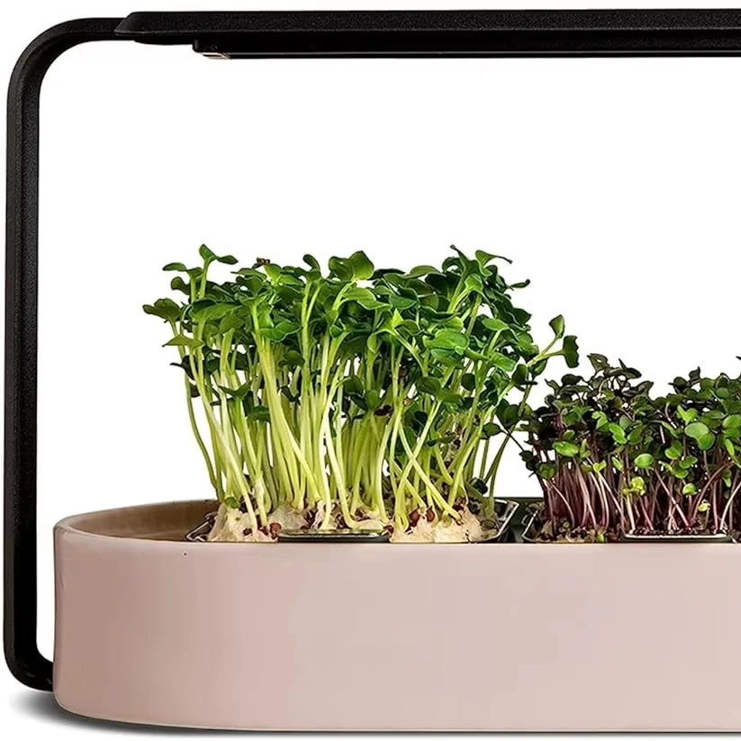 Microgreens Growing Kit - Organic Superfood Sprouting Seed Pads (3) | Auto 4-Stage LED Grow Lights & Hydroponic Watering System