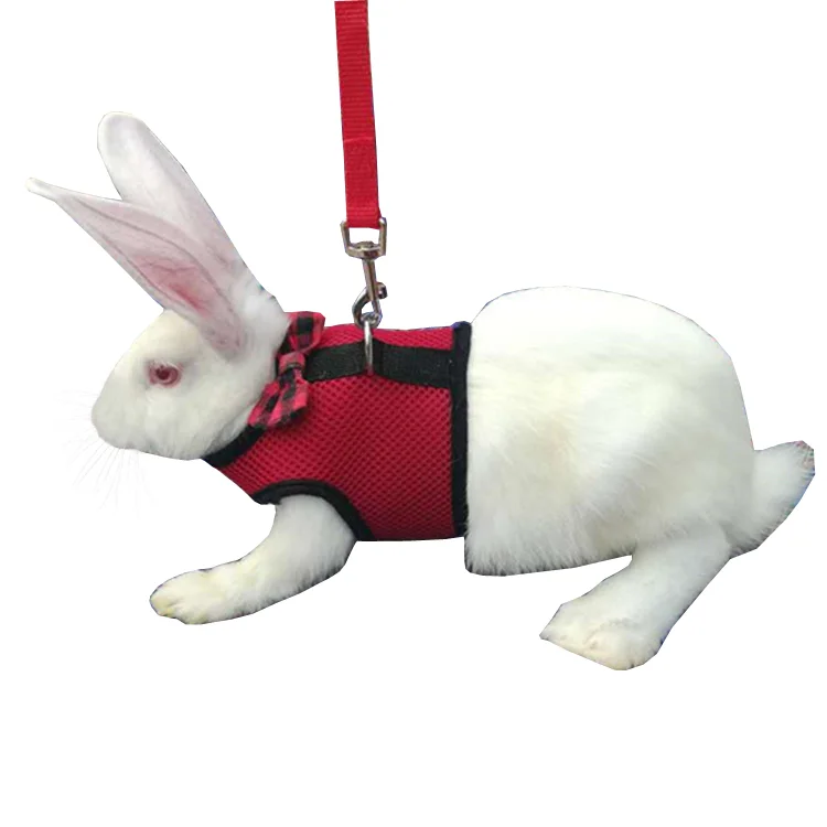 Best price mesh fabric small animals clothes outdoor pet hamster rabbit vest guinea pig walking harness leash bunny leash