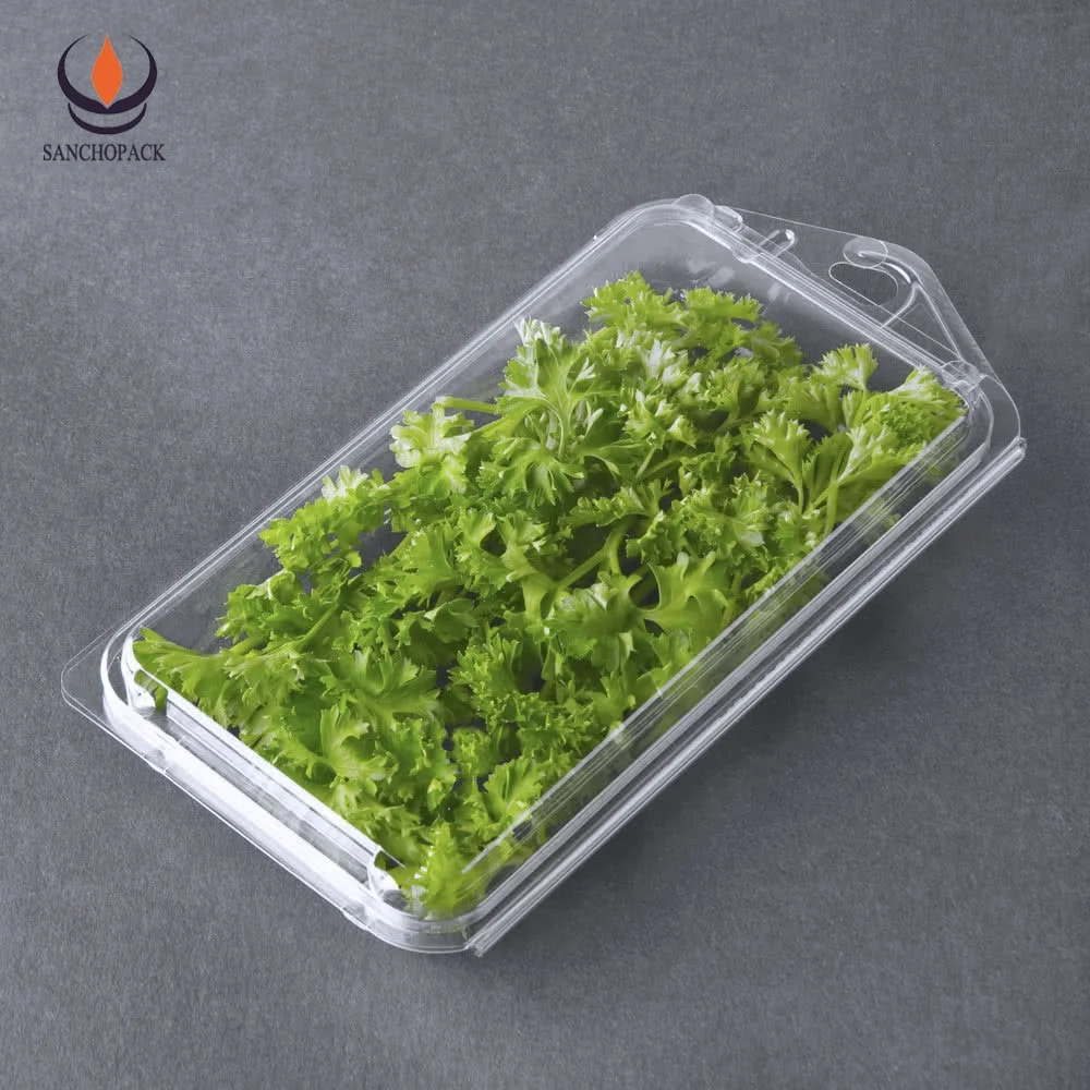 Пластиковая раскладная коробка для трав или розмарина