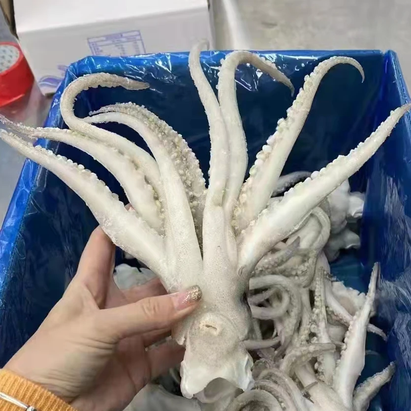 IQF squid tentacle skin off