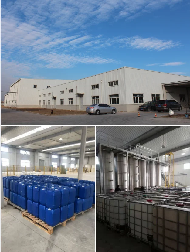 Special for Cucumber Tomato Biostimulant  Peptide Fertilizer Improve Taste Enhance Flavor Raise Production