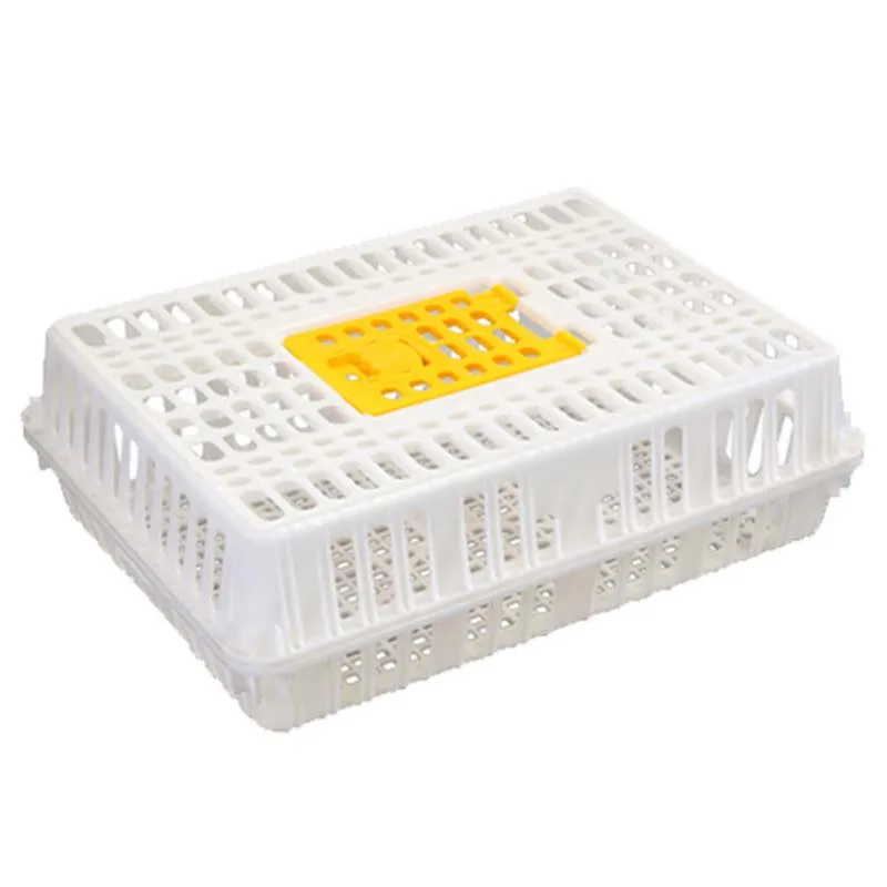 Crates Plastic Transport Cage for Chicken Cages Poultry Farming Chicken Cages