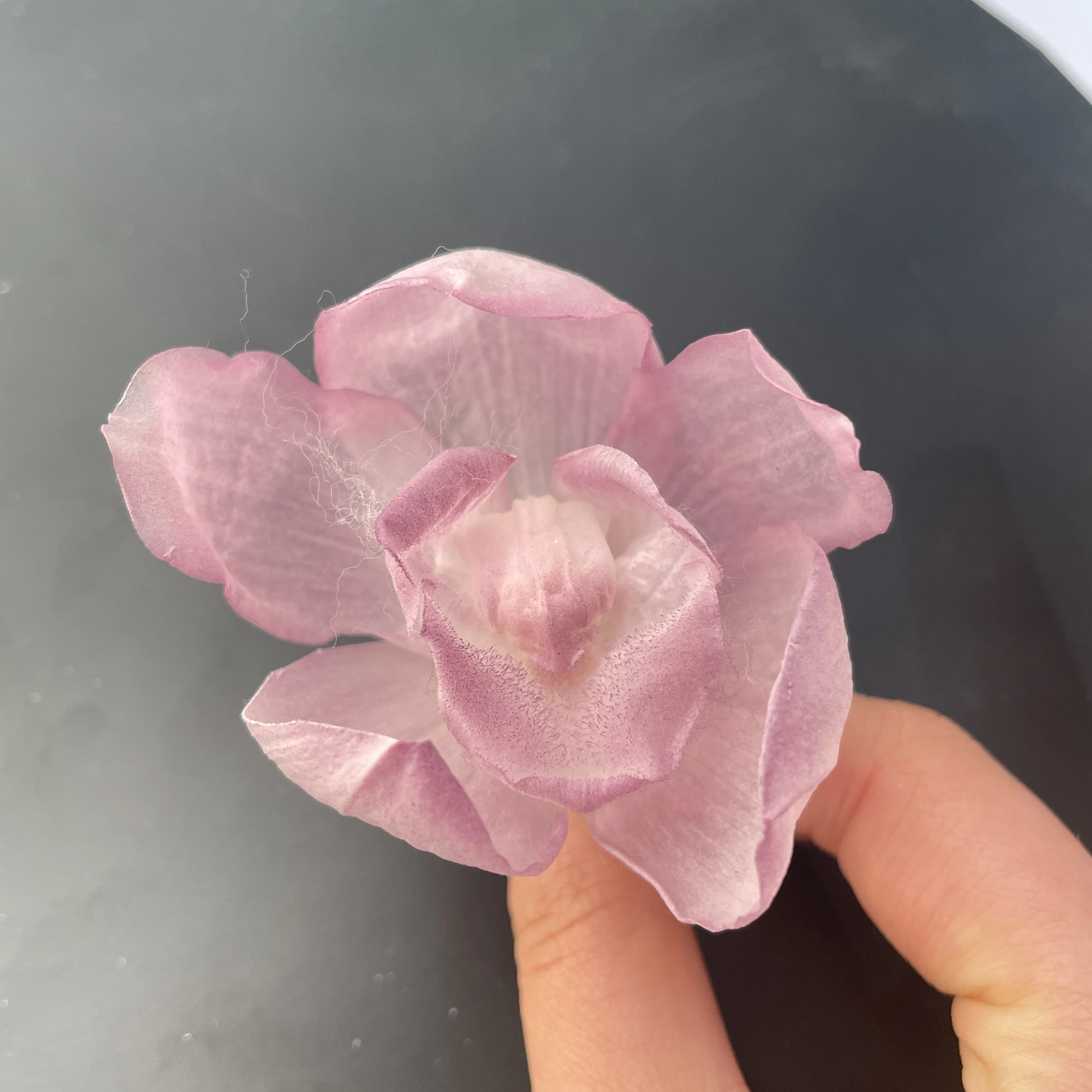 Wholesale eternal real orchid flower preserved flowers last long year dried flower for wedding home party decoration