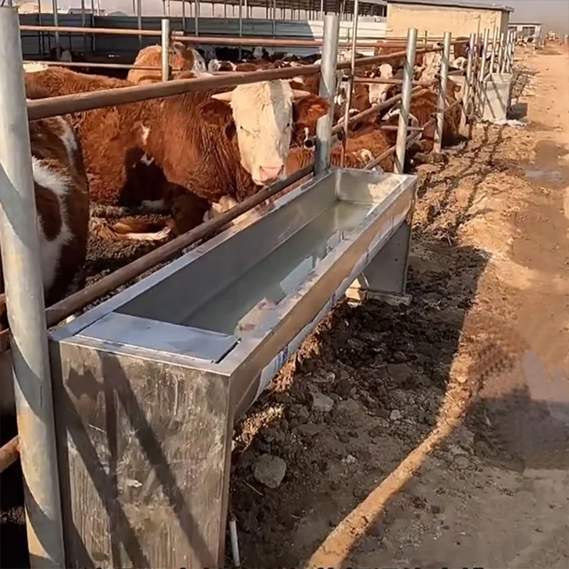 Hot selling drinking trough for horses  trough with a cheap price cattle farm equipment cattle water drinking