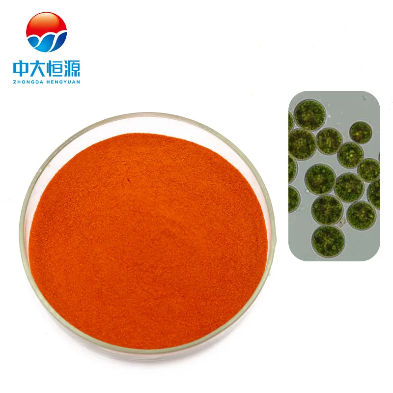 Natural Dunaliella salina source beta carotene liquid and powder beta carotene food color Synthetic fermented palm fruit