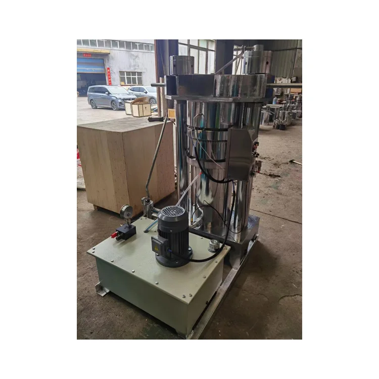 automatic edible oil extraction machine olive avocado hydraulic oil pressing machine 2022 hot selling cold oil press machine