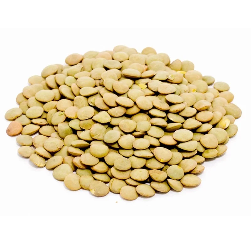 Green Lentils Beans Kazakhstan Wholesale Natural Organic First Grade Green Lentil Beans 50 Kg Bag Packaging