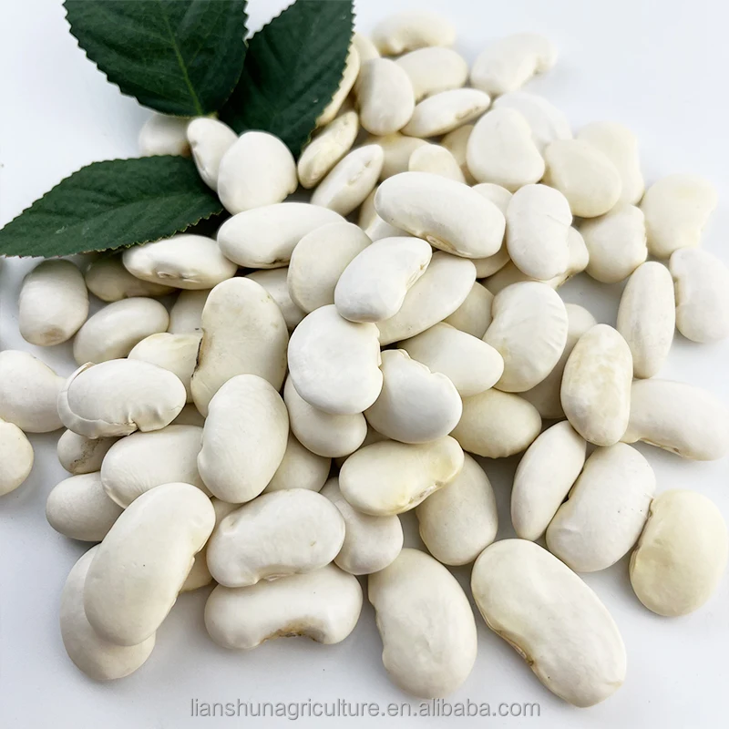 Hot Selling Factory price wholesale white kidney beans