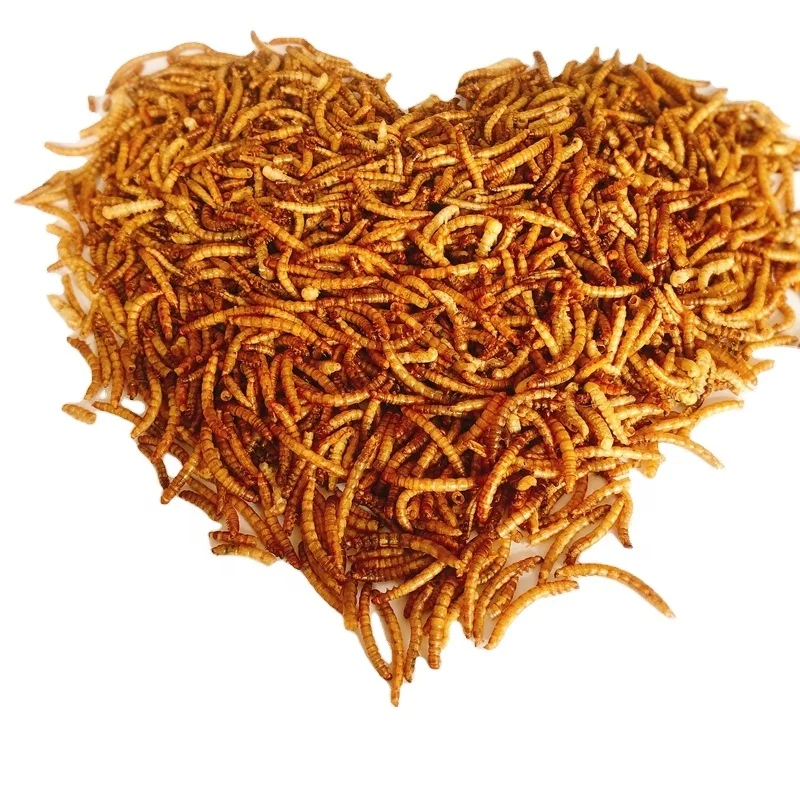 Hot Selling 100% Natural Healthy Dried  bird fried mealworms
