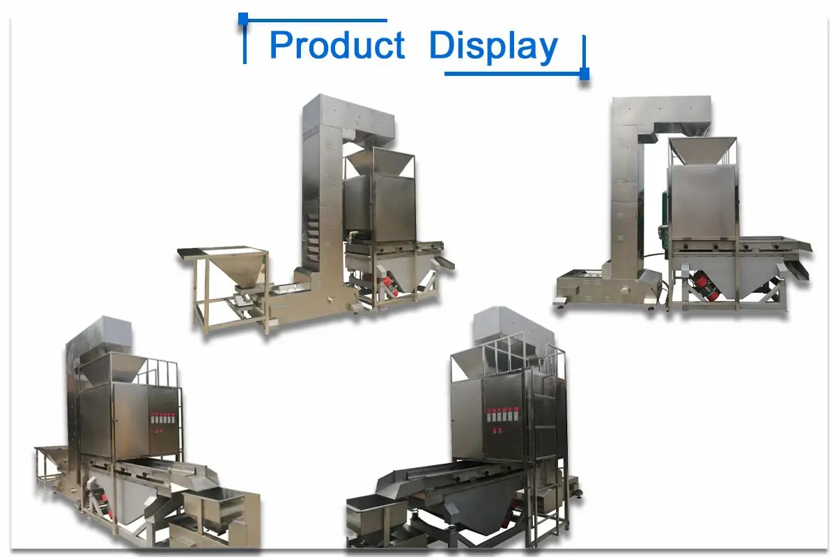 New Product Favorable Price Air Type Hazelnut skin Peeling Machine nut peeler processing machine