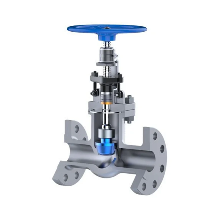 class 1500 globe valve titanium material made GR2 titanium globe valve