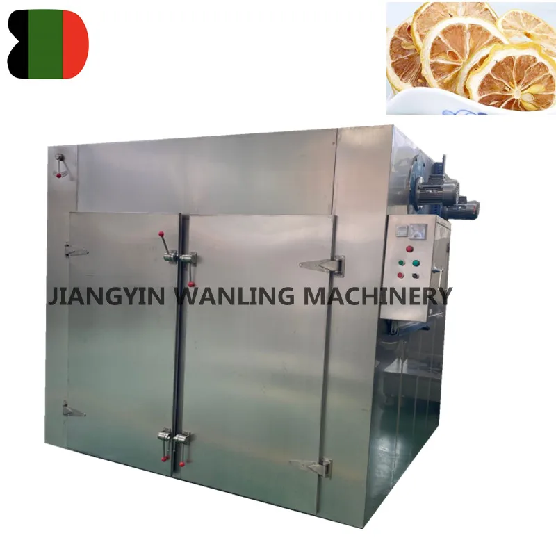 CT vegetable clove cardamom fig grape raisin maggots dryer moringa leaf flower hibiscus drying machine