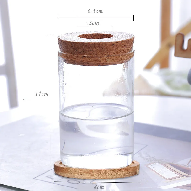 Plant Propagation Station Micro Landscape Terrarium Flower Vase Clear Ribbed Glass Home Garden Office Handmade Christmas Modern