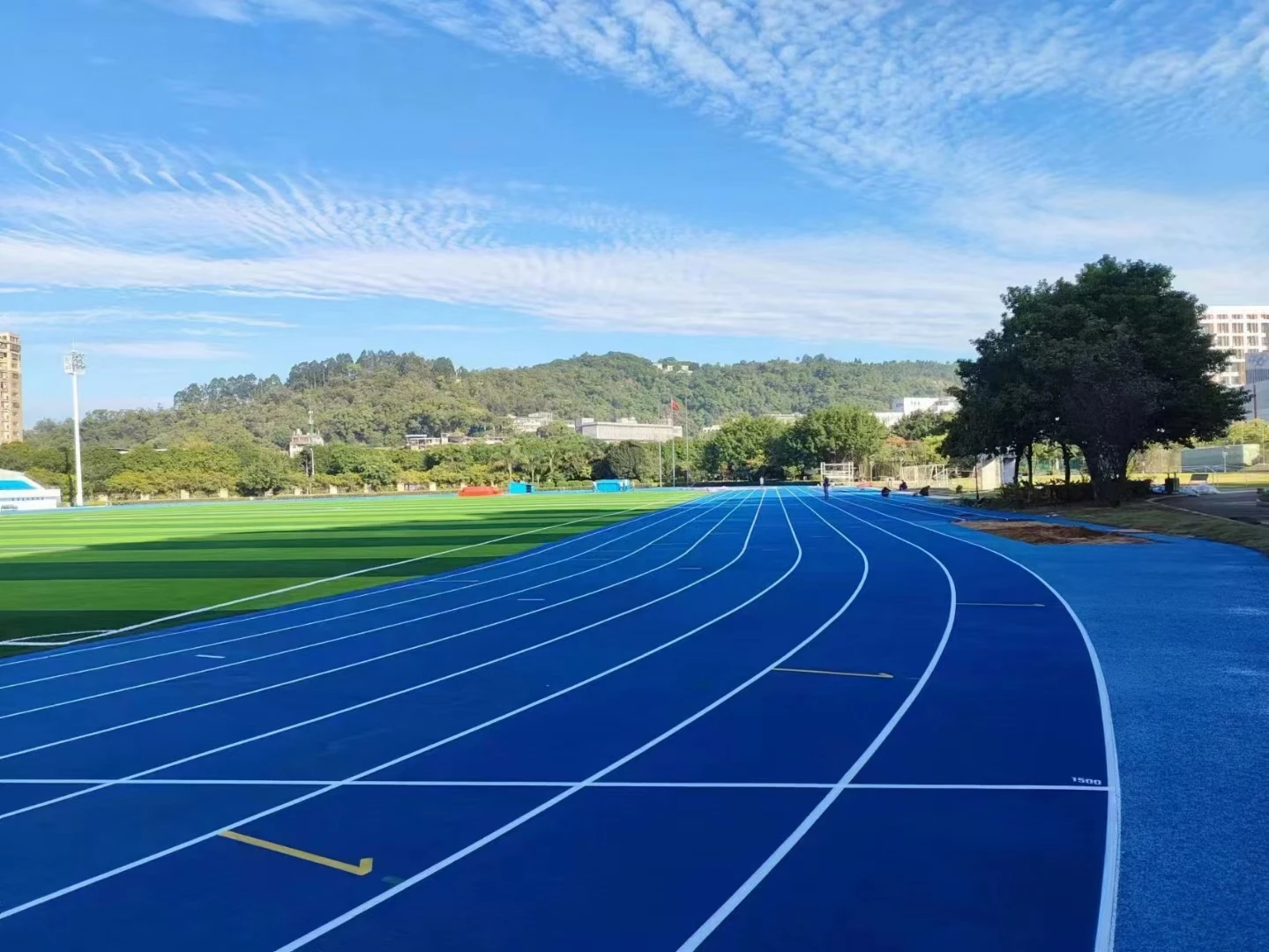 Full Pour Running Track Field Material Sports Run Way Rubber Athletic Track