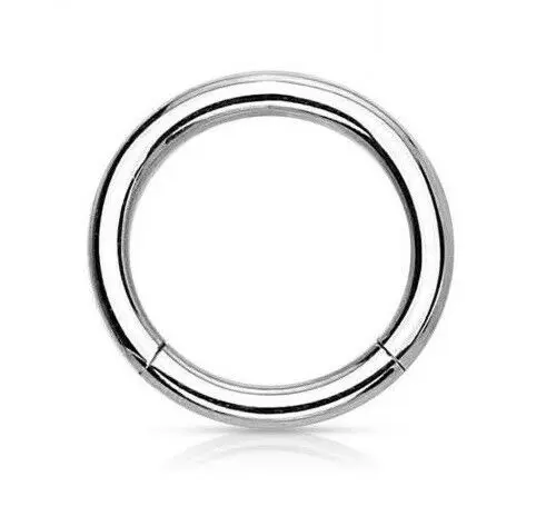 Titanium Hinged Segment Ring Gold Plated Color Clicker Hoop Ear Cartilage Nose Body Piercing Jewelry