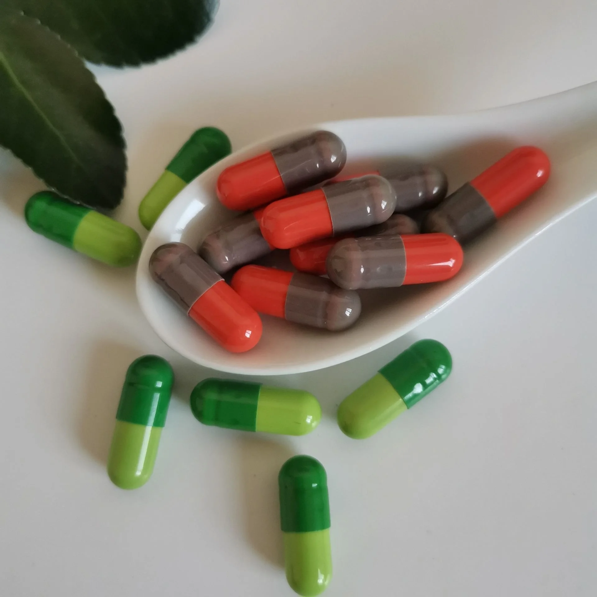 Dietary Supplement Powerful Slimming Weight Loss Pills Green Tea Extract Capsules Fat Burning Capsule