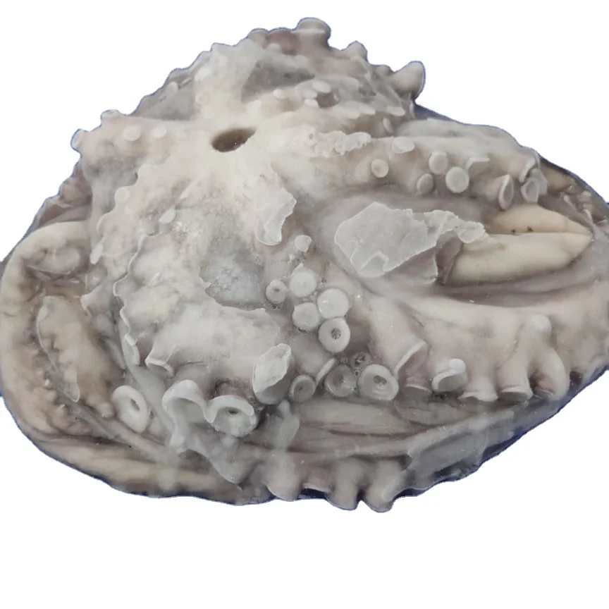 Замороженные длинные руки осьминога полностью очищены