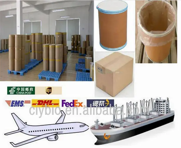 A Grade Matcha powder Matcha Green Tea Powder