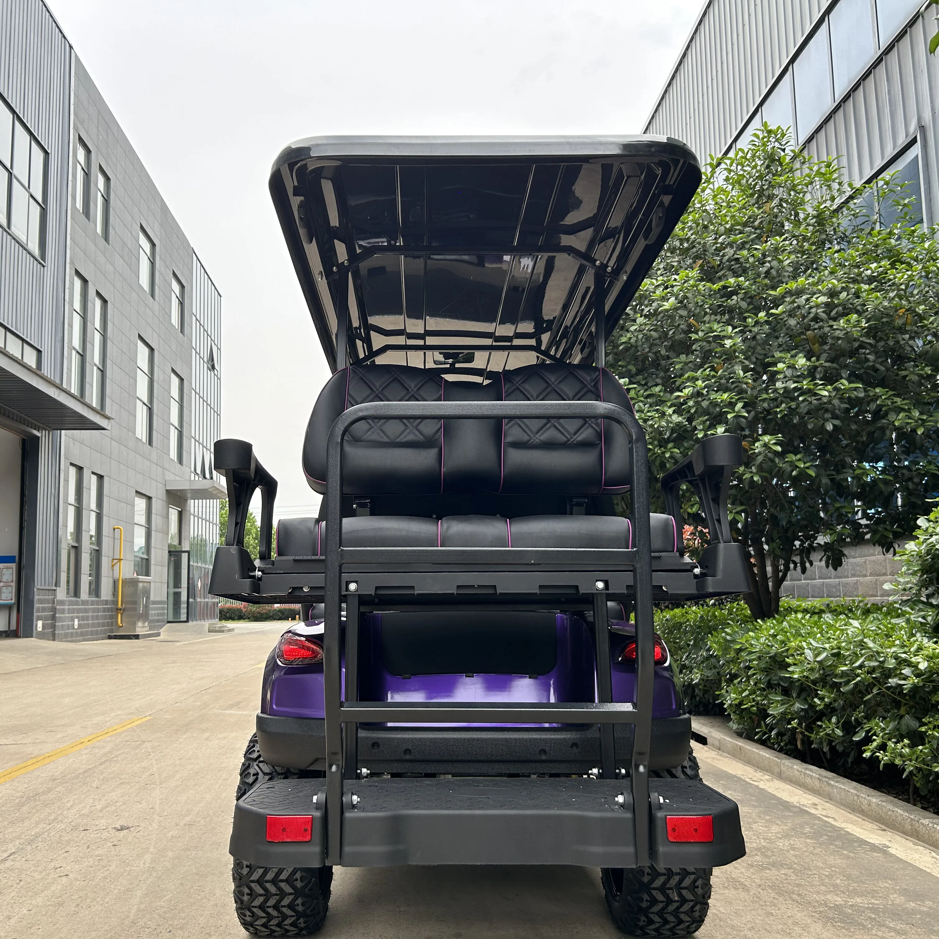 Electric Fast 4 Wheel Drive Golf Cart Newly Designed Electric Golf Cart Ec Brake Golf Carts
