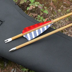 Bullet Point Turkey Feather Wood Grain Carbon Arrow