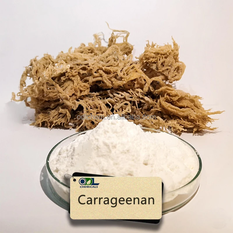 Factory price food additives Carrageenan Refined powder Kappa Carrageenan