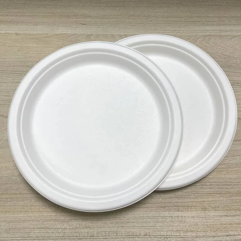 Modern Style Biodegradable Disposable Paper Plate for Restaurants and Parties Sustainable Eco-Friendly Design