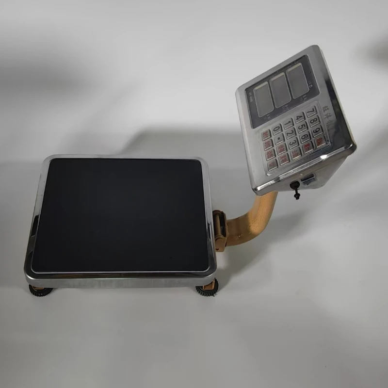 TCS Electronic Platform Scale 300Kg Industrial Digital Material Bench Platform Floor Price Weighing Scales Stainless Steel