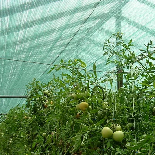 100% hdpe Raschel Shade net farming knitted cloth green shading net for greenhouse