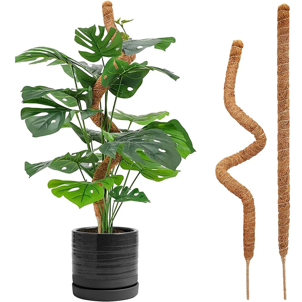 Plant climbing post Plant modeling fixed rod Brown column hydroponic column turtle back bamboo support pole climbing vine