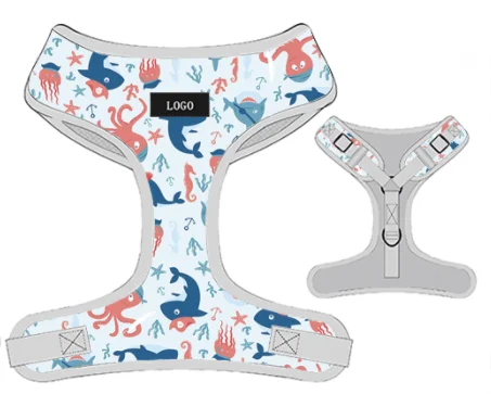 Hot Sale modern pet kit set no pulling dog vest harness and leash with buckle