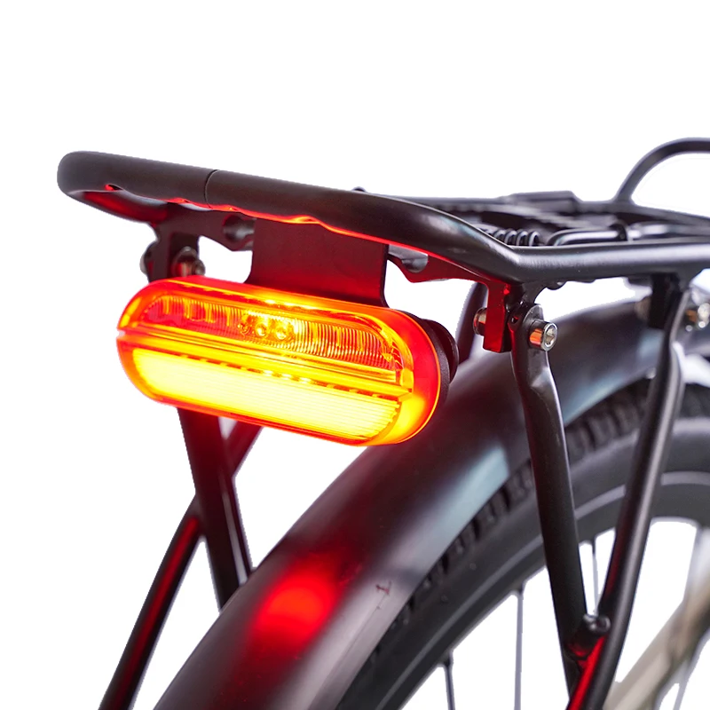 Cheap 36V 250W 10AH Lithium-ion Battery City e Bicycle Commuting e bike E Bike